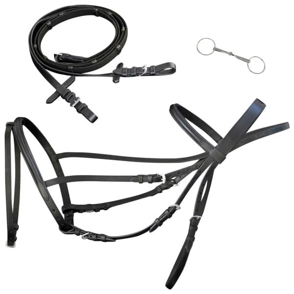 Berkfield Leather Flash Bridle with Reins and Bit Black Full