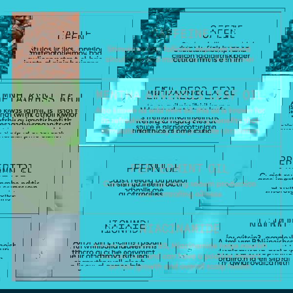 Nioxin Pro Clinical Gifts & Sets System 3 Trial Kit for Coloured Hair with Light Thinning - Additional 6