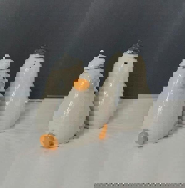 Handmade Duck Salt & Pepper Shakers – UK Ceramic Pair