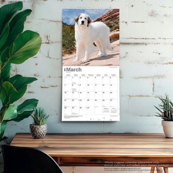 Great Pyrenees Calendar 2027, Wall Calendars, Month To View, Dogs, Gift