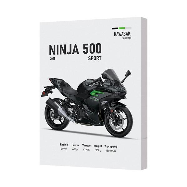 Benjamin Tate Design Kawasaki Ninja 500 Sport Canvas Wall Art Print With Deep Wooden Frame