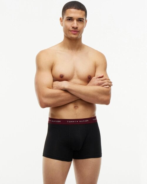 Tommy Hilfiger 3-Pack Logo Waistband Mens Trunks - Opulent Blue/Burgundy/Ancient Blue