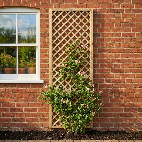 [rackhams variation] trellis elite diamond [6ft x 1ft|2ft|3ft|4ft] 9