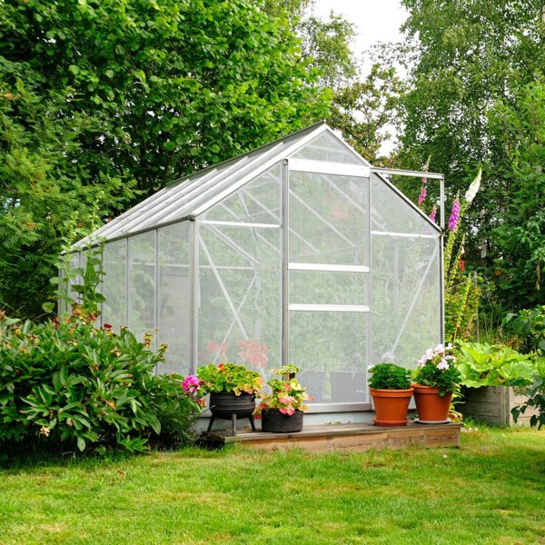 Silver polycarbonate greenhouse measuring 6ft x 10ft, featuring a clear structure surrounded by vibrant flowers and greenery