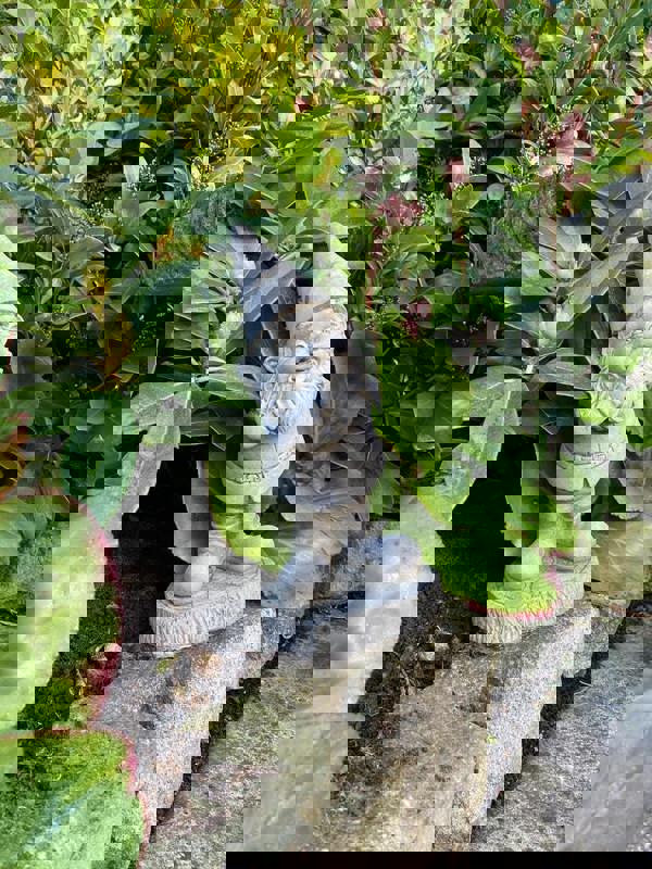 Small Gnome Fairy Ornament