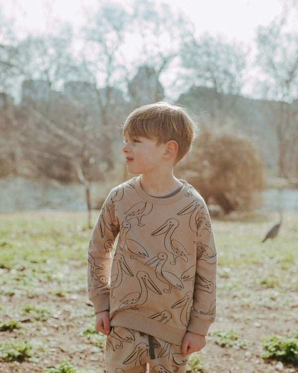 organic cotton Beige Pelican Print Sweatshirt - image 1