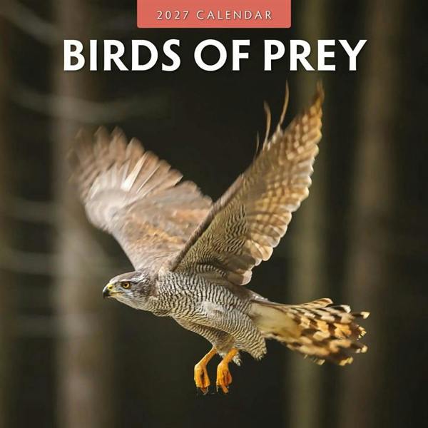 Birds of Prey Calendar 2027, Wall Calendars, Month To View, Animals, Gift