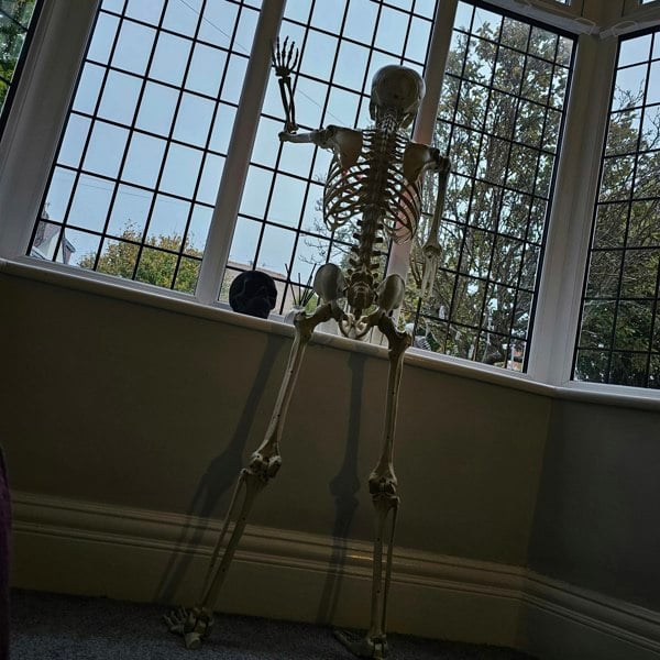 Samuel Alexander 5ft (150cm) Posable Full Body Halloween LED Skeleton Decoration with Movable Joints and LED Eyes