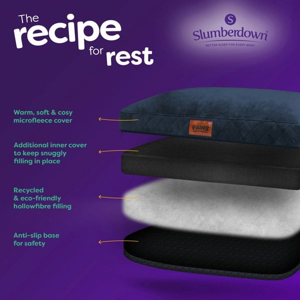 Paws for Slumber Padded Pet Bed, Blue, Extra Large