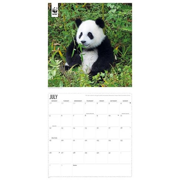 WWF, Pandas Calendar 2027, Wall Calendars, Month To View, Animals, Gift