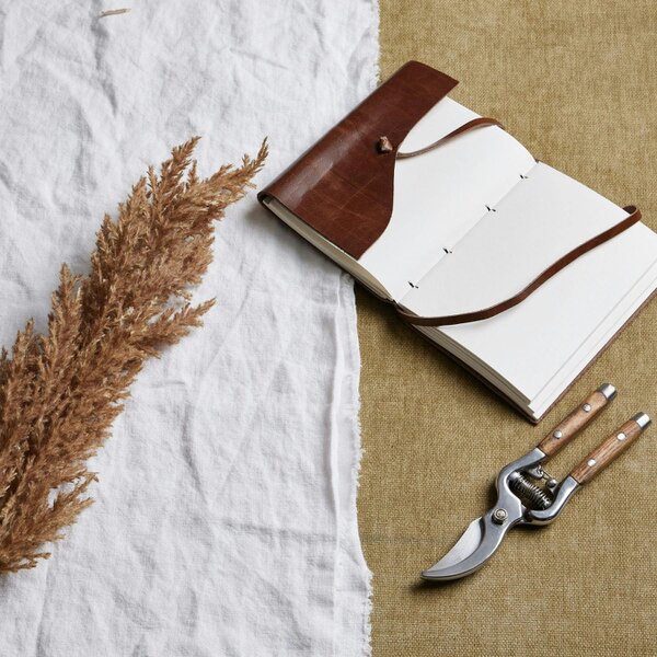 Wyld Haus Set of 3 Dried Flowers Taupe Faux Dried Pampas Grass Stems