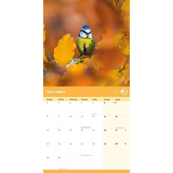 RSPB, Garden Birds Calendar 2027, Wall Calendars, Month To View, Animals, Gift