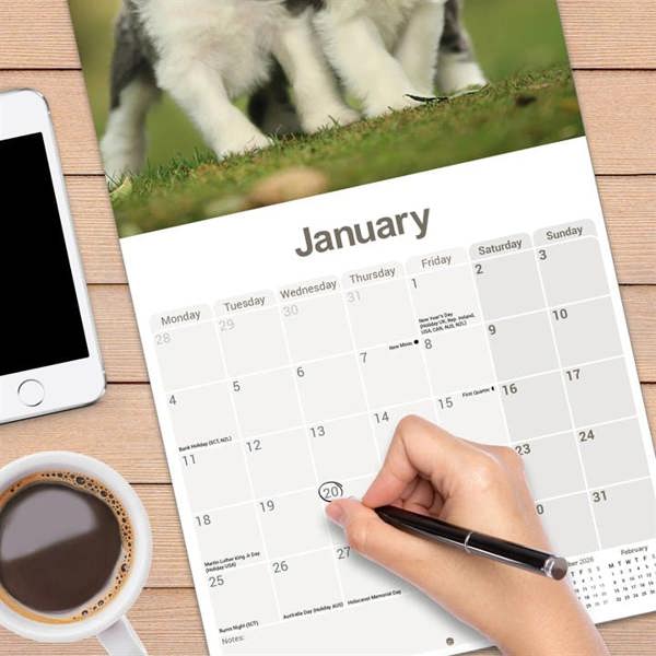 Bearded Collie Calendar 2027, Wall Calendars, Month To View, Dogs, Gift
