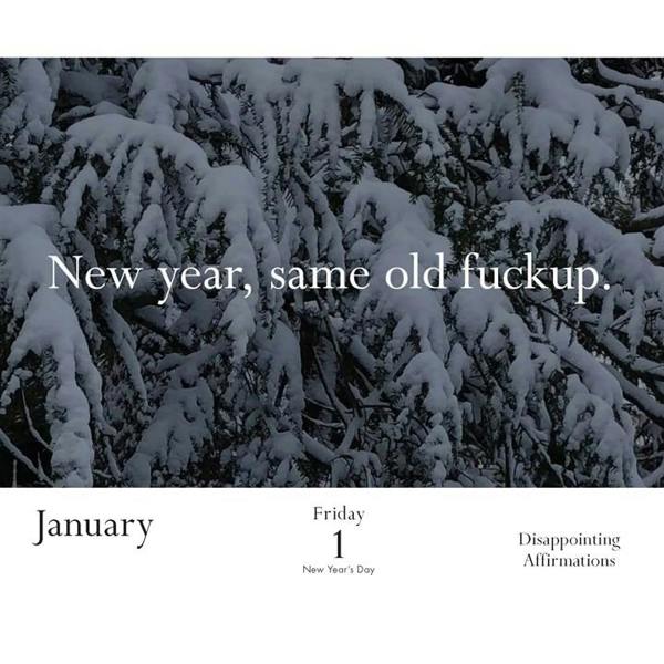 Chronicle Books Disappointing Affirmations Desk Calendar 2027, Desk Calendars, Day To View, Humour, Gift