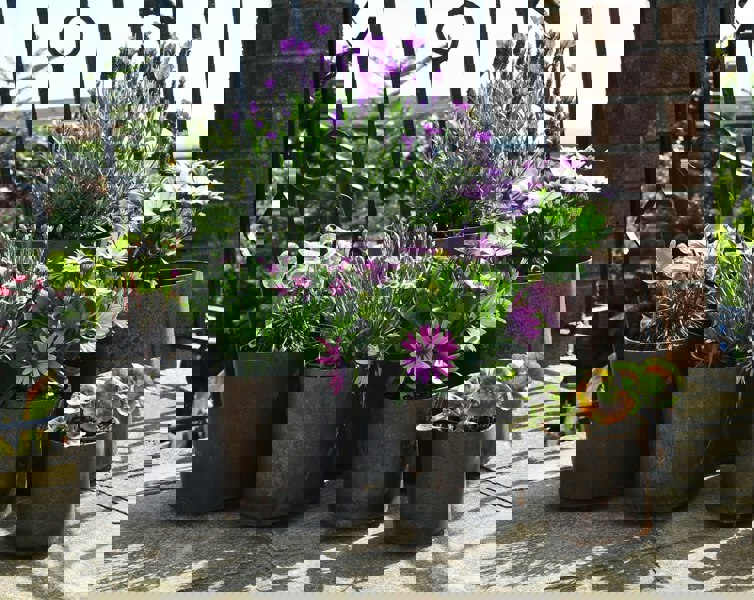 rusty mental plant pot range