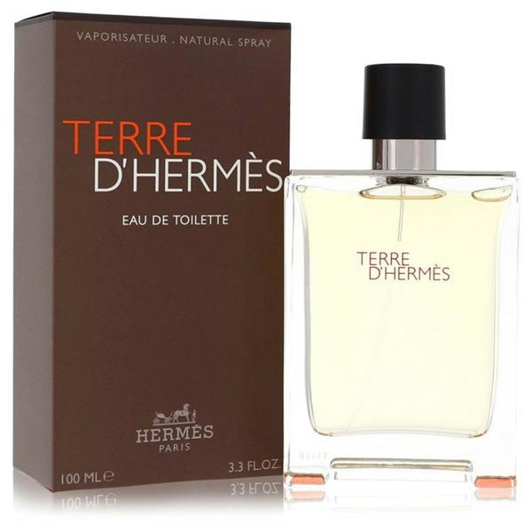Hermès Hermes Terre dHermes Eau de Toilette 100ml 100 ml