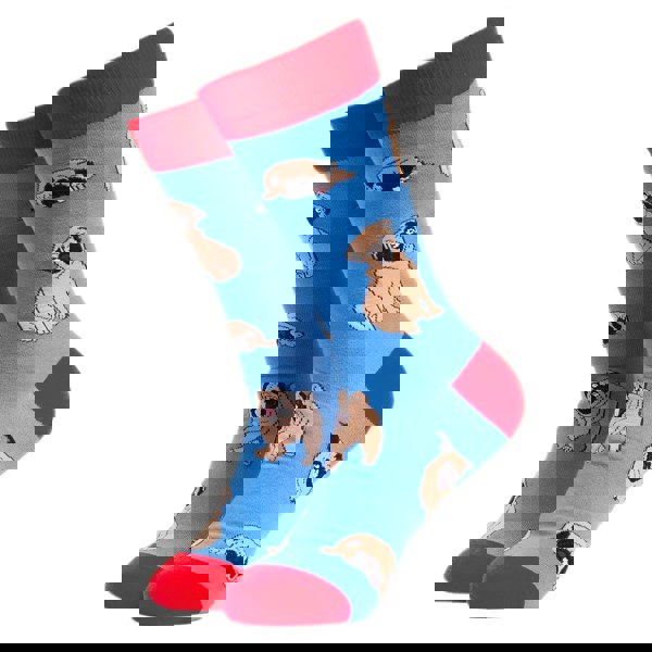 t4option1_8
