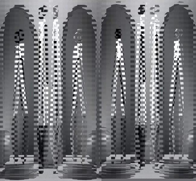 Anygleam Tong Stainless Steel Large Black Handle Clip Heat Resistant Cooking Baking Salad Steak Kitchen Gadget