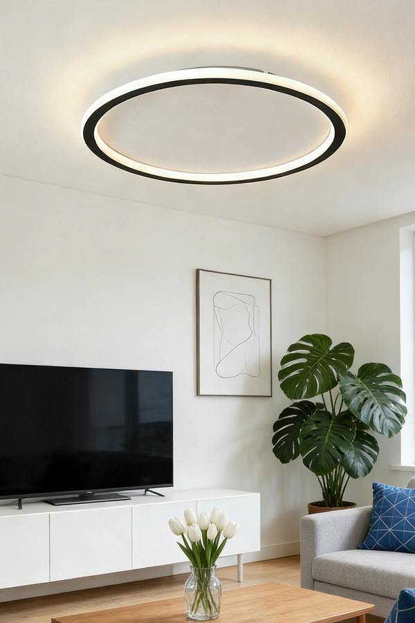 Modern LED Circular Ceiling Light