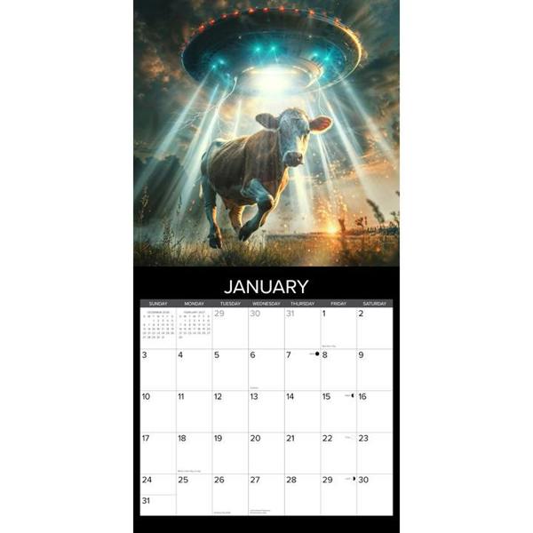Cow Abductions Calendar 2027, Wall Calendars, Month To View, Animals, Gift
