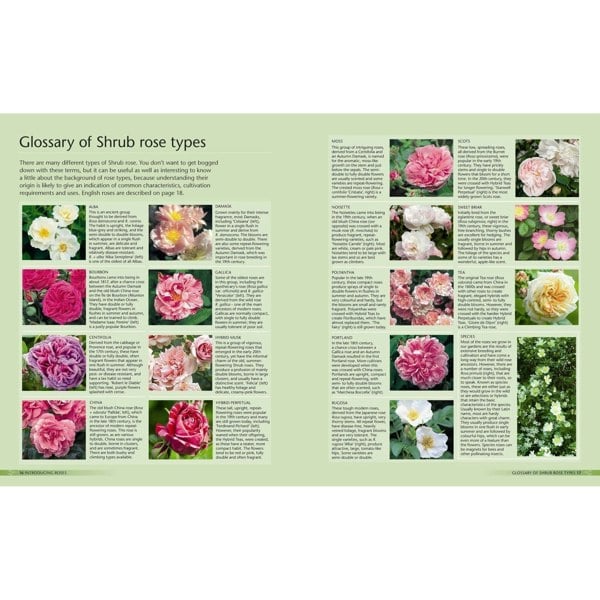 BBC Books Alan Titchmarsh How to Garden: Growing Roses