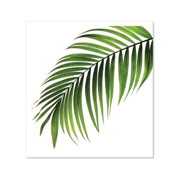 Warren Reed - Designer Single Palm Leaf Kitchen Splashback