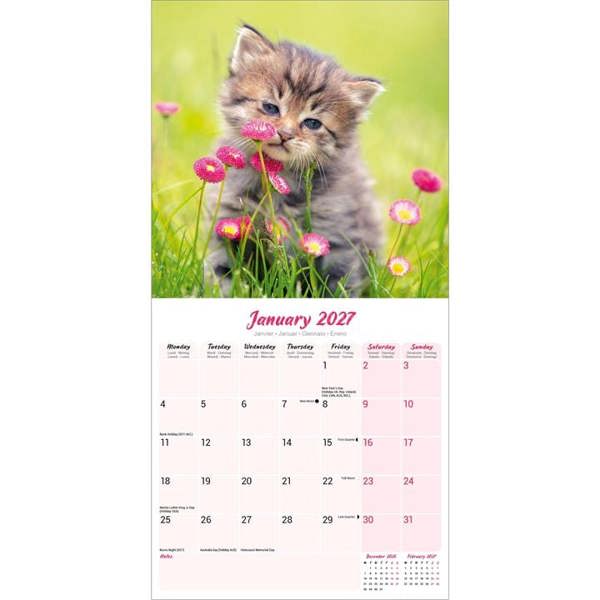 Kittens Calendar 2027, Wall Calendars, Month To View, Cats, Gift