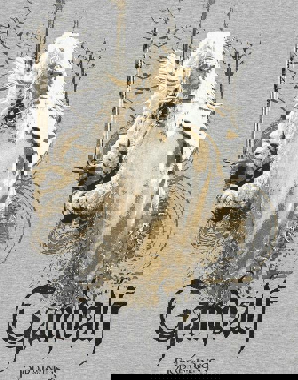 Lord Of The Rings Mens Grey Gandalf Short Sleeved T-Shirt