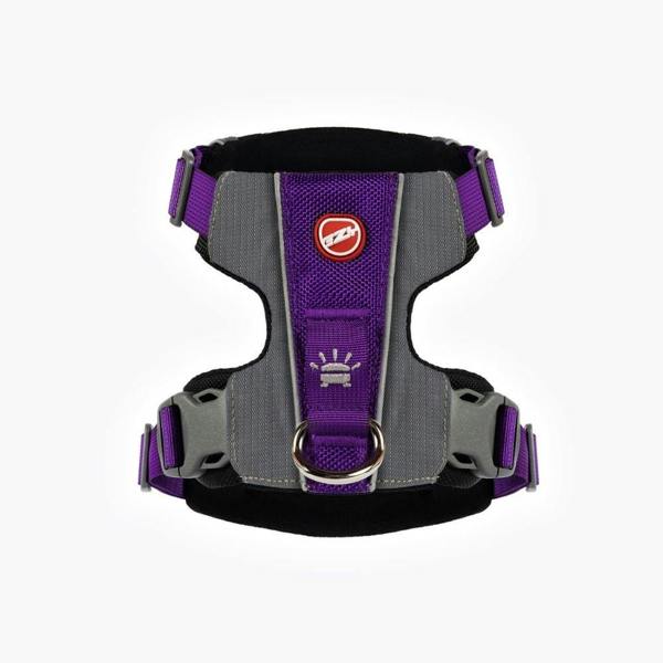 EzyDog X-Link Dog Harness in Purple