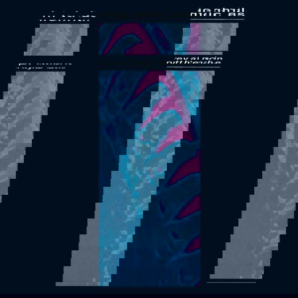 Nine Inch Nails 'Pretty Hate Machine' LP Black Vinyl