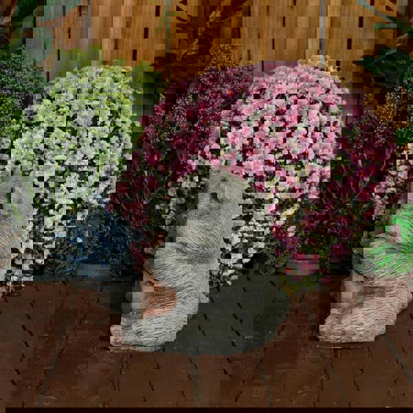 Cat with a Big Heart Stone Cast Garden Cat Ornament