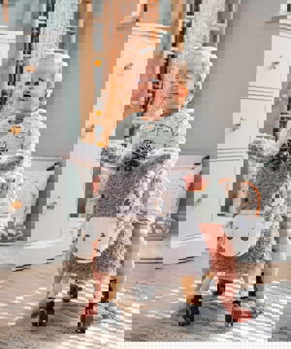 donkey character in the range of kids ride on toys