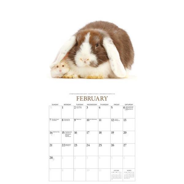 Unbranded Bunnies & Friends Calendar 2027, Wall Calendars, Month To View, Animals, Gift