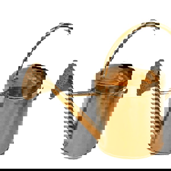 Ivyline Kensington Traditional Copper Watering Can
