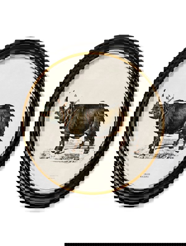 Exceptional Art c.1846 Rhino & Hippo - Round Frames