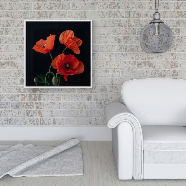 Warren Reed Poppies Framed Canvas