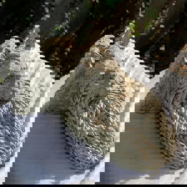 Cat design Wall Shelf and Plaque Garden Ornaments