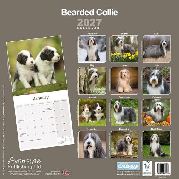 Bearded Collie Calendar 2027, Wall Calendars, Month To View, Dogs, Gift