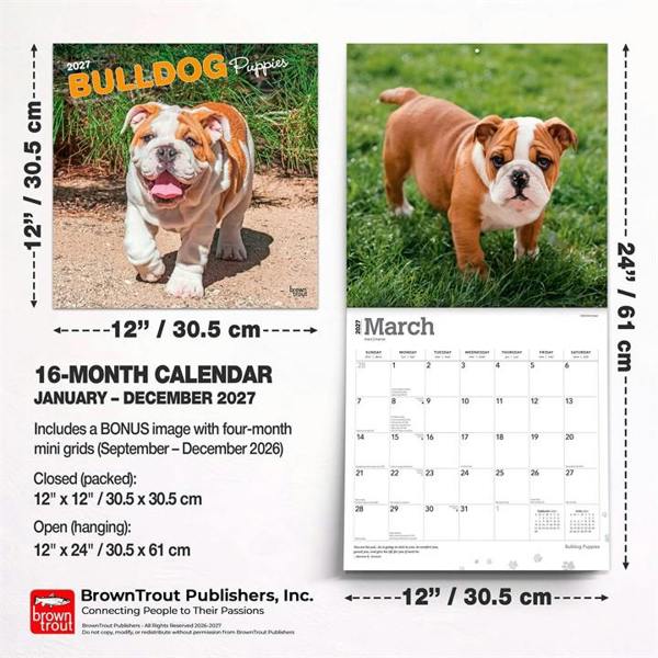 Bulldog Puppies Calendar 2027, Wall Calendars, Month To View, Dogs, Gift