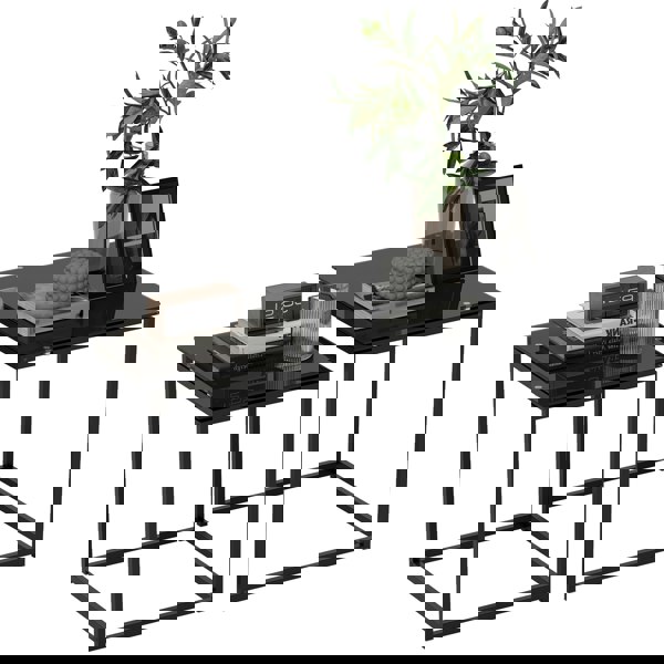 X-839-245