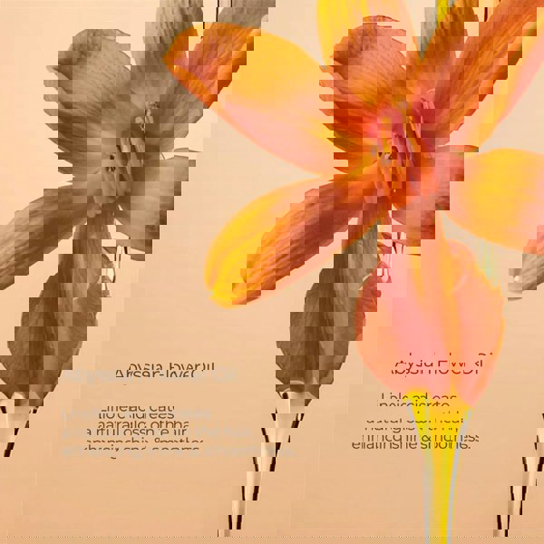 L'Anza Keratin Healing Oil Conditioner 250ml