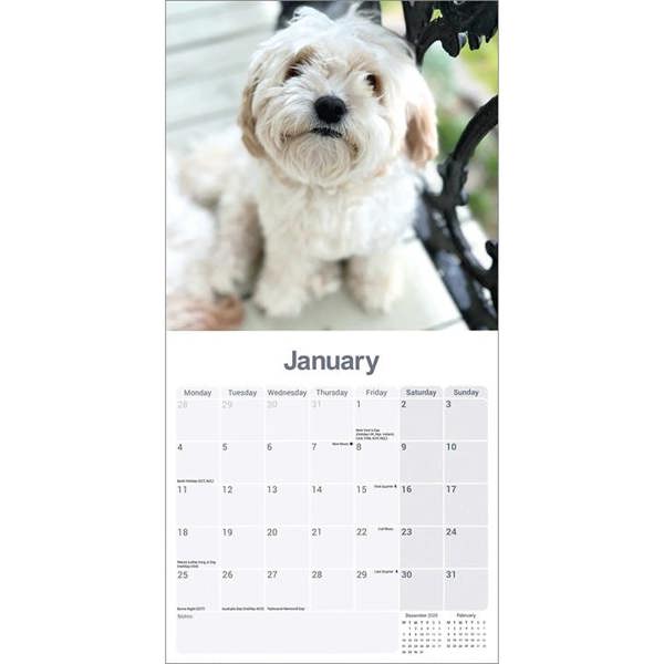 Cavachon Calendar 2027, Wall Calendars, Month To View, Dogs, Gift