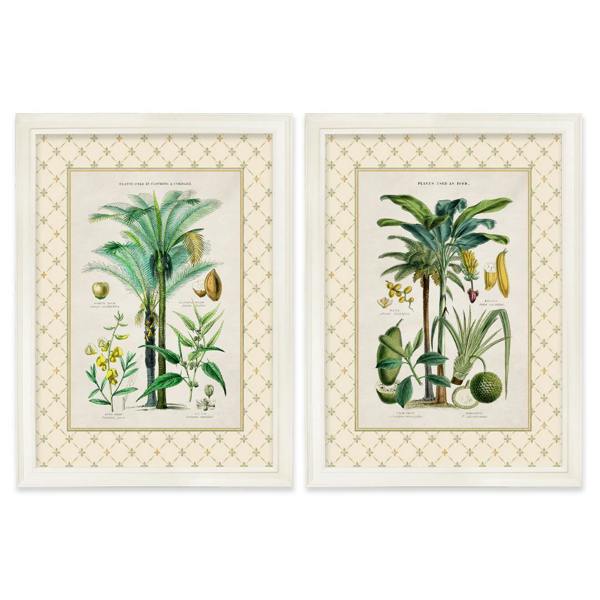 Exceptional Art c.1877 Plants Used as Food and Clothing with Trellis Mount - Cream Hurstwood Frame