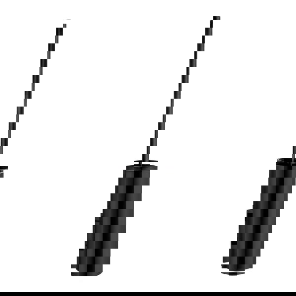 Black stainless steel toilet brush and holder