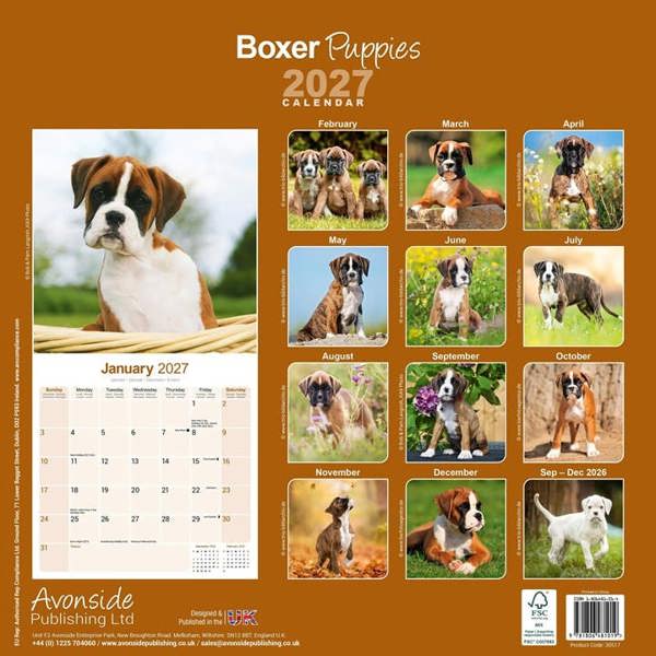 Boxer Puppies Calendar 2027, Wall Calendars, Month To View, Dogs, Gift