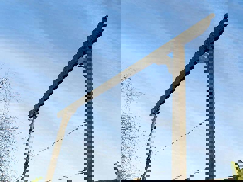 Arbor Garden Solutions Screen Pergola, Plant Climbing Arbour - Longhorn Sculpted Brace