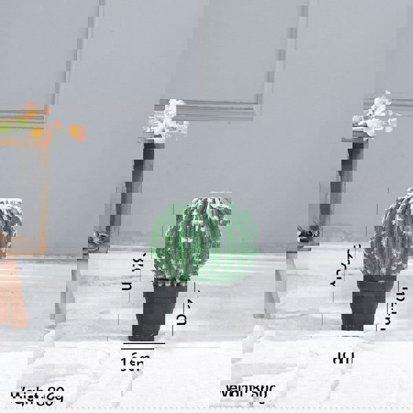 TU18 Artificial Plant-Weilai Concept-4-Weilai Concept