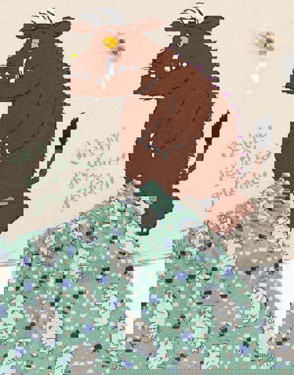 Gruffalo & Friends Boys Multicoloured Multi Character Short Sleeve Short Leg Pyjama Set