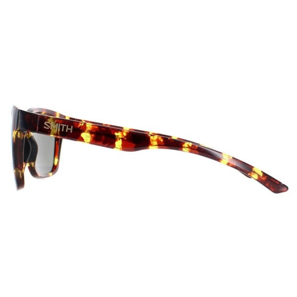 Smith Sunglasses Founder Slim MY3 IN Tortoise Green Polarized