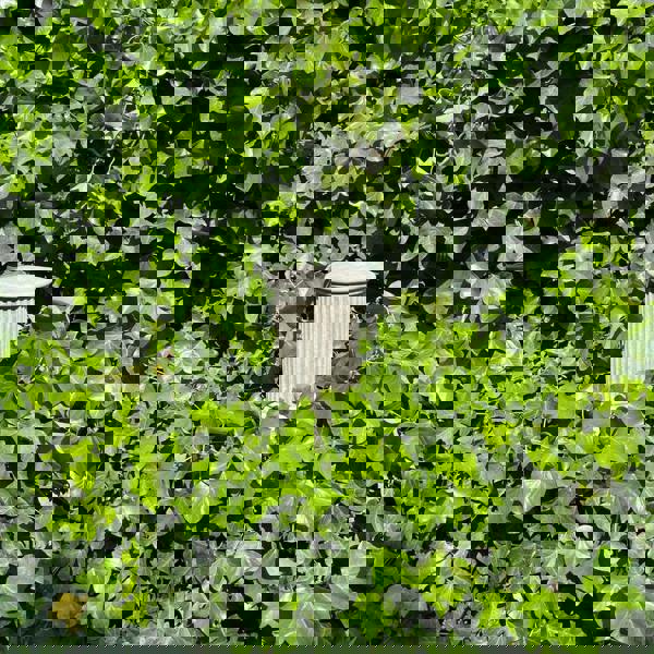 Simple Roman Style Short Pillar Column